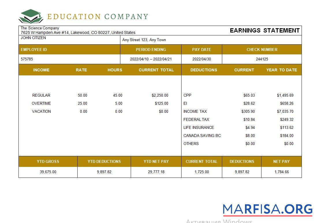 Blank Education company fully editable payslip in Word and Excel formats example